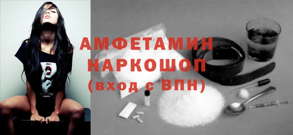 сатива Абинск