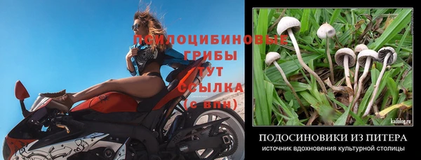 2c-b Нефтекумск