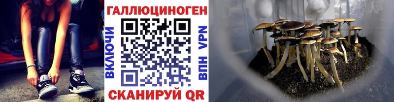 кракен зеркало Анжеро-Судженск Галлюциногенные грибы GOLDEN TEACHER